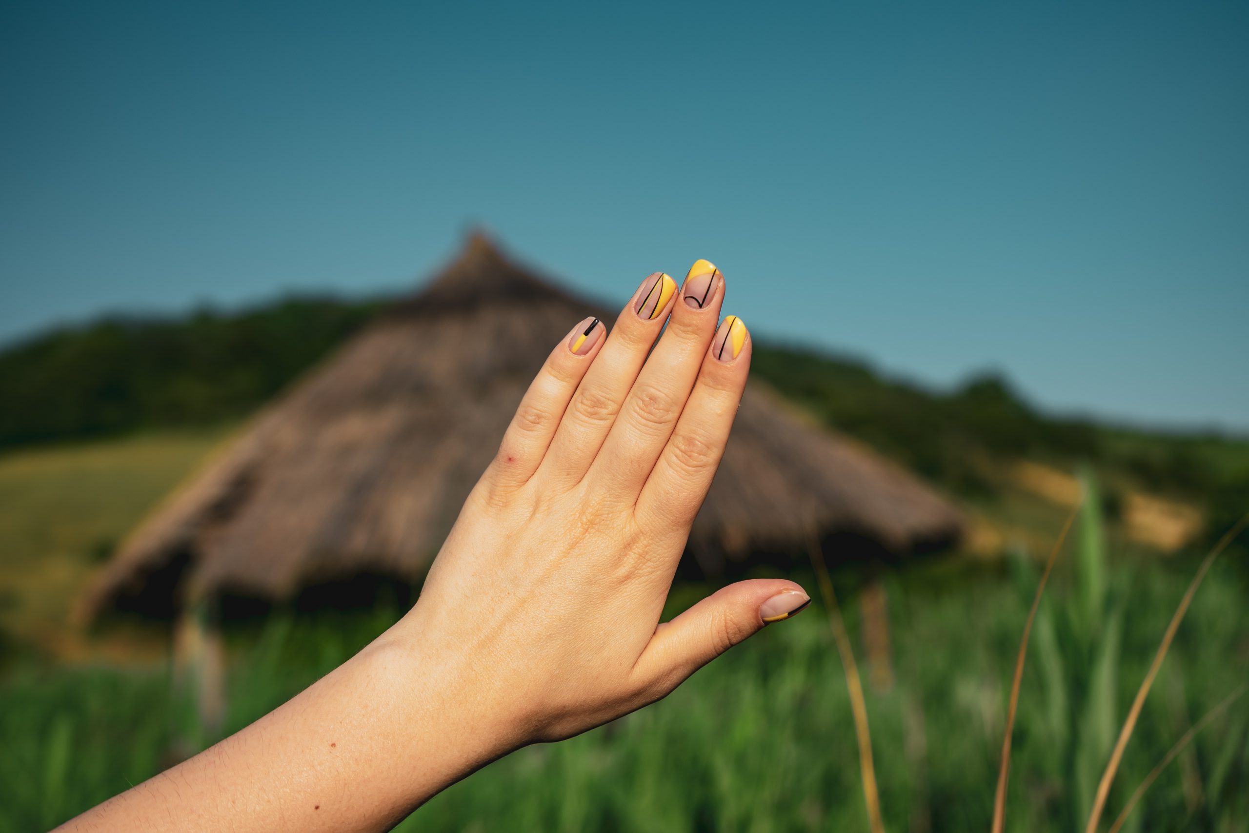 gros plan de maine munie d'ongles en résine devant un paysage flouté
